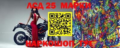 индика Шебекино