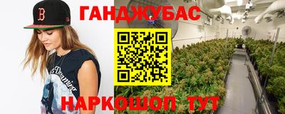 прущие грибы Шелехов