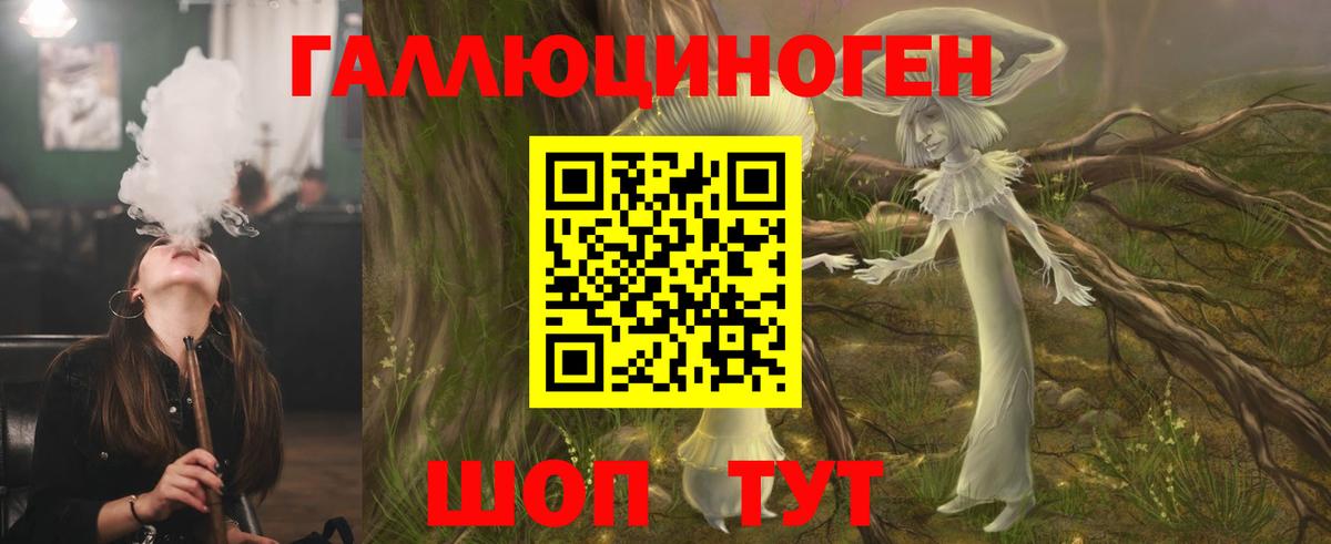 Галлюциногенные грибы Psilocybe  Псилоцибиновые грибы Psilocybine cubensis  Медногорск  Вход с VPN 